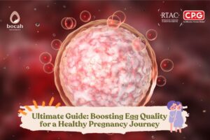 Ultimate Guide Boosting Egg Quality for a Healthy Pregnancy Journey
