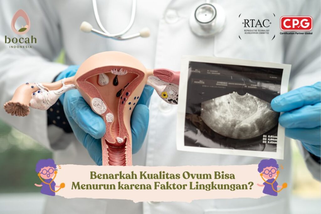 Benarkah Kualitas Ovum Bisa Menurun karena Faktor Lingkungan
