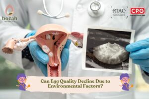 Can Egg Quality Decline Due to Environmental Factors