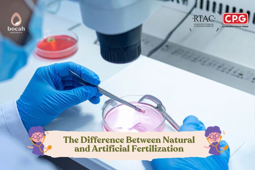 The Difference Between Natural and Artificial Fertilization