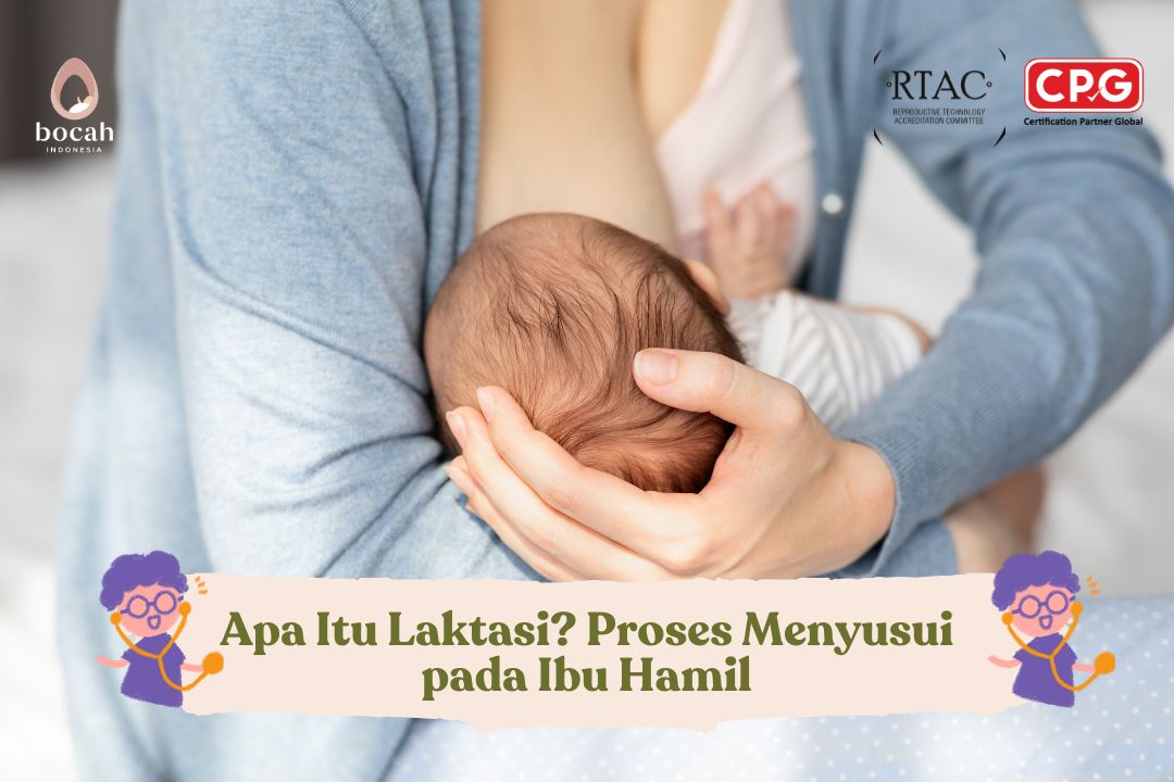 Apa Itu Laktasi Proses Menyusui pada Ibu Hamil