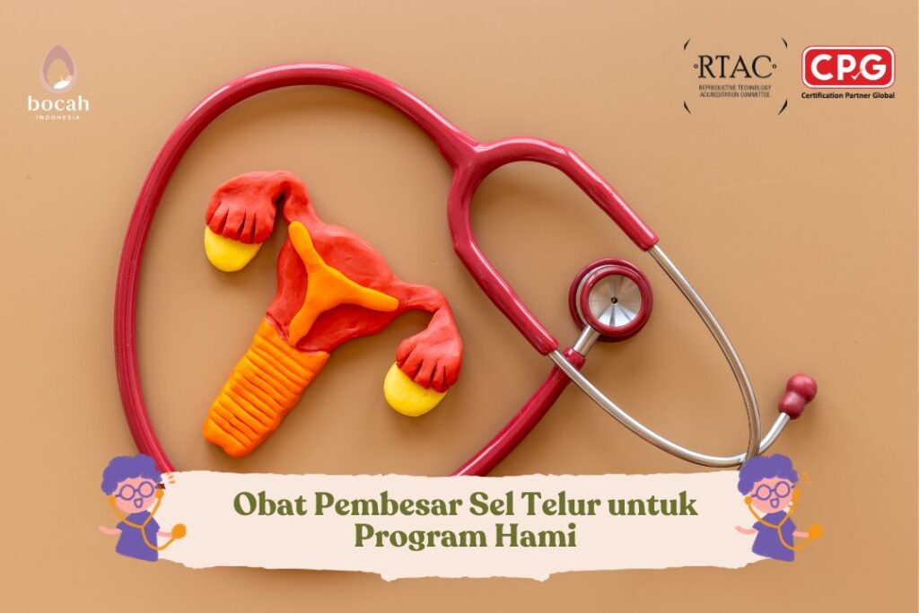 Obat Pembesar Sel Telur untuk Program Hami