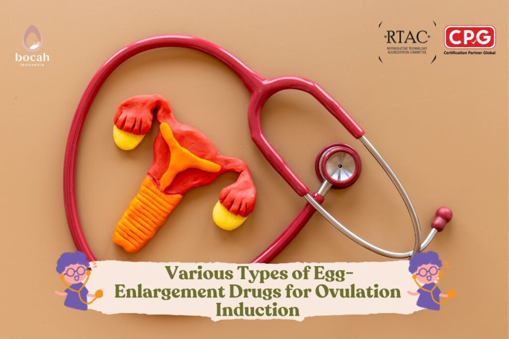 _Various Types of Egg-Enlargement Drugs for Ovulation Induction