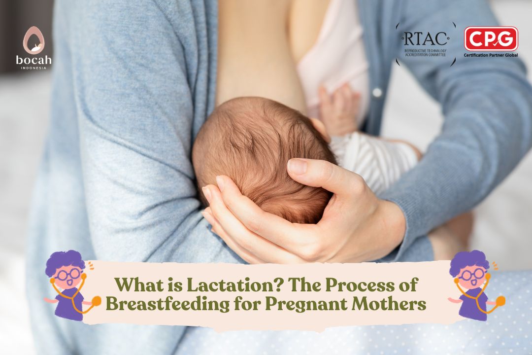 What is Lactation The Process of Breastfeeding for Pregnant Mothers